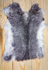 Skin of a hare. Skin of a Russian hare on a board. Full skin of a Russian hare, dressed.