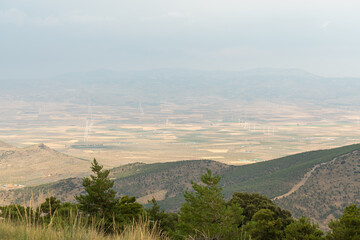 Fototapeta premium wind farm in southern Spain