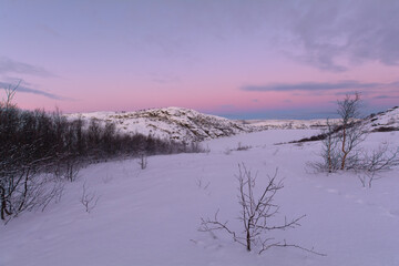 In winter, the tundra is covered with snow. Pink sunset.