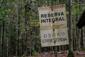 reserva integral de Lizardoia, selva de Irati,comunidad foral de Navarra, Spain