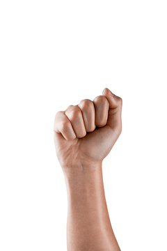 A hand is gesturing on a white background