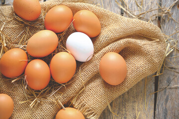 Collected chicken eggs, stacked on burlap in the chicken coop.