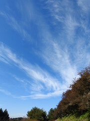 Obraz premium 山地の秋空