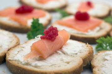 Fototapeta na wymiar Closeup of appetizers toast with salmon and cheese in a white plate