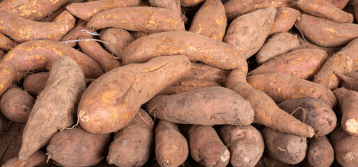 Sweet Potato for Sale in the Market 