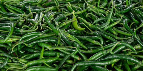 Fresh green chilies in wide range