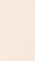 brown recycle paper texture abstract background vertical