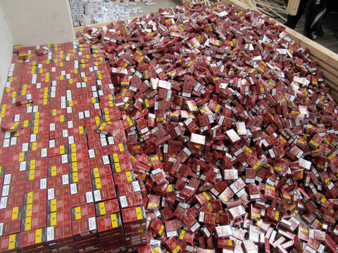 Krakovets, Ukraine - March, 2016: Smuggled cigarettes disguised as industrial wood  were found by border guards in a truck heading through the " Krakovets-Korchova" checkpoint from Ukraine to Poland