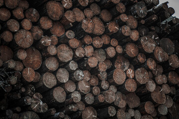 Fototapeta premium Logs of wood pilled 