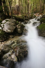 Mountain creek, Voje Valley, Bohinj, Slovenia
