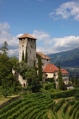 Fototapeta premium Old medieval Lebenberg Castle on top of some vineyards in the village of Tscherms near Merano, South Tyrol in Italy
