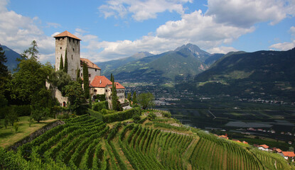 Old medieval Lebenberg Castle on top of some vineyards in the village of Tscherms near Merano, South Tyrol in Italy - obrazy, fototapety, plakaty