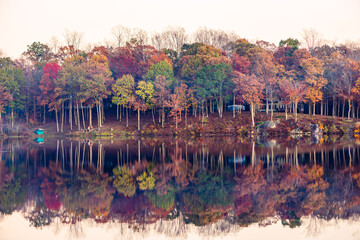 autumn landscape in the forest reflecting in a lake