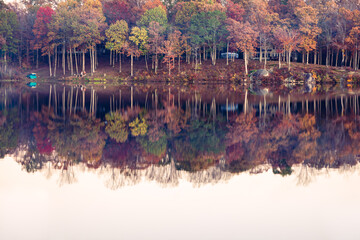Trees along a shoreline reflecting in a still morning lake