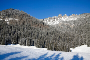 beautiful winter mountain landscape at sunny day