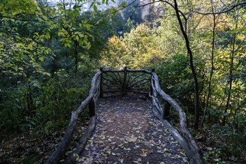 Fototapeta premium Empty Trail with Trees and Fallen Leaves at the Hallett Nature Sanctuary in Central Park during Autumn in New York City