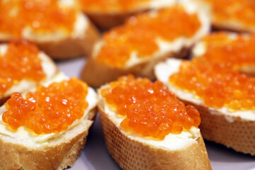 Sandwiches with red caviar and butter on white plate, selective focus. Traditional russian dish