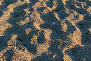 Sandstrand