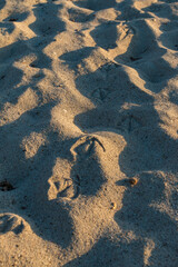 Sandstrand