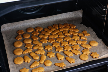 Baked gingerbread cookies on a baking tray inside of an oven