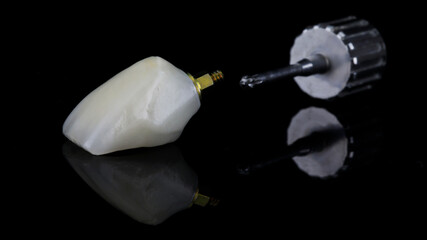 magnificent dental crown of the central tooth and a branch on a black background