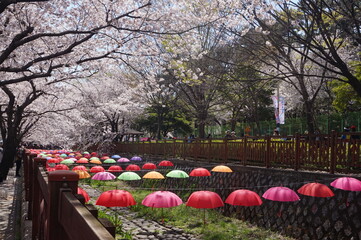 jinhae gunhangje
