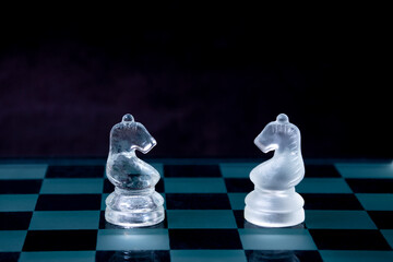 chess pieces on a chessboard. knight