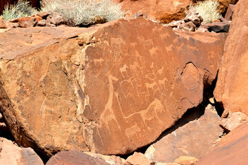 Animal rock carvings at Twyfelfontein in Namibia, lion, giraffe, zebra, antelope, rhino