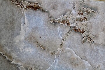 Wall wallpaper concrete colored painted textured, background texture, abstract