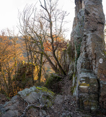 Welterbesteig im Dunkelsteinerwald