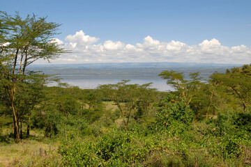 Fototapeta na wymiar Eastern Africa landscape. View of Nakuru lake. Nakuru national park, Kenya.