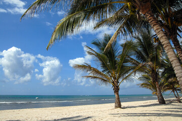 Empty tropical beach with palms. Diani Beach (Indian ocean), surroundings of Mombasa, Kenya.