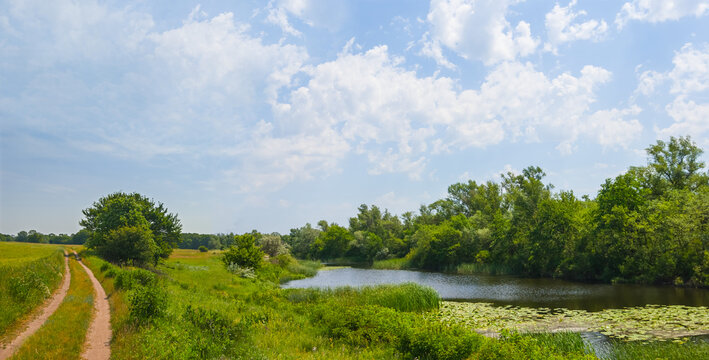 ground road in a pairie near the river, summer countryside scene