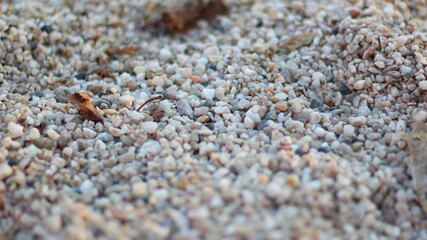 Fototapeta na wymiar small stones