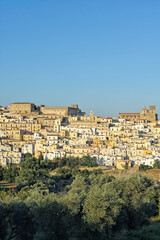 Fototapeta premium View of the town of Ferrandina, in the foreground trees of olives Majatica, district of Matera, Basilicata, Italy, Europe