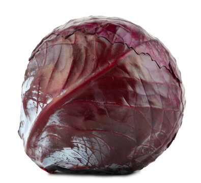 Close-up of red cabbage against on white isolated background with a slight shadow