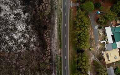 Aftermath of a recent bushfire in New South Wales as the fire burnt the forest up to the containment lines preventing a home from setting alight