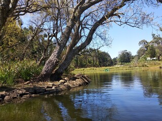 lake in the forest