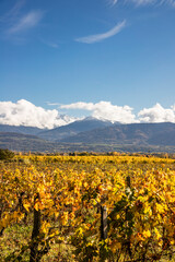 Paysage montagnes vignes Rhones Alpes