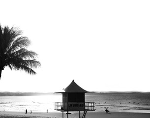 Black and white lifeguard tower sits next to a palm tree