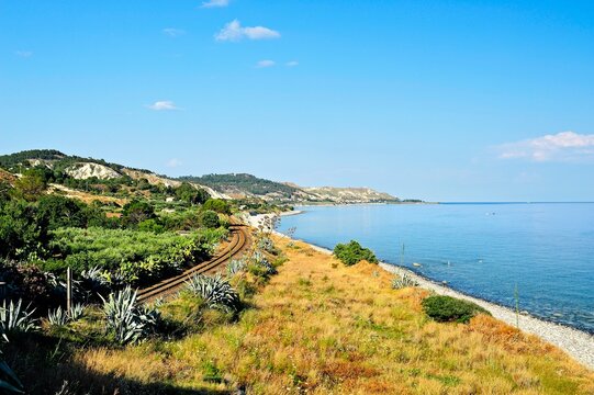 Coast jasmine near Palizzi Marina, District of Reggio Calabria, Calabria, Italy, Europe