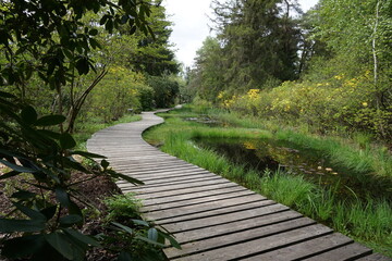 Der Weg ist das Ziel