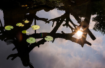 Fototapete bei efototapeten.de bestellen   