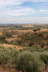 Alentejo beautiful green and brown landscape with olive and cork trees in Terena, Portugal