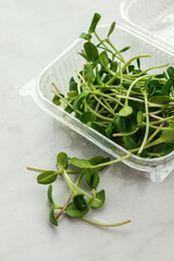 FRESH TASTY MICROGREEN ON LIGHT BACKGROUND