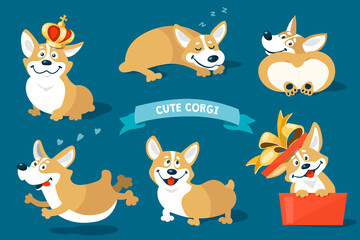 Cute welsh corgi dogs and puppies set. Vector cartoon kawaii stickers