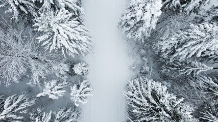 Loipe im Schwarzwald mit Schnee 