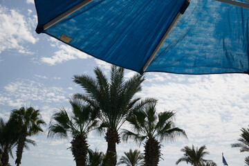 blue umbrella from the sun palm trees and the sky in the clouds