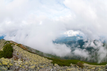 Panorama of rocky mountains with fog and green alpine pine