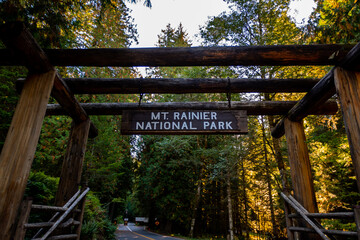 Loooking up at Mt Rainier National Park
